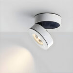 Lyric Adjustable Surface Downlight - Image 6