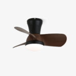 Miro Ceiling Fan Light