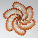 Murano Prism Chandelier - Image 9