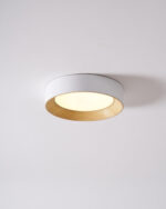 Oreen Ceiling Lamp - Image 19