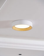 Oreen Ceiling Lamp - Image 5