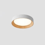 Oreen Ceiling Lamp - Image 17