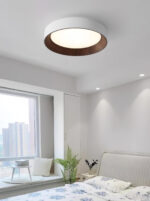 Oreen Ceiling Lamp - Image 9