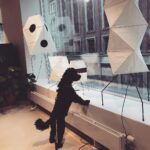 Origami Lantern Floor Lamp - Image 8