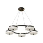 Orion Ring Chandelier - Image 12