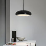 Pangen Pendant Lamp - Image 8