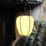 Peaches Outdoor Pendant Light - Image 14