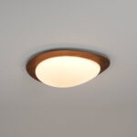 Pebble Ceiling Light - Image 11
