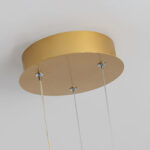 Phalaenopsis Chandelier - Image 11