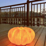 Portable Pumpkin Table Lamp - Image 18