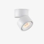 Rotatable Spotlight Ceiling Light - Image 19