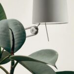 Sibaca Floor Lamp - Image 13