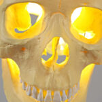 Skull Pendant Light - Image 19