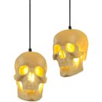 Skull Pendant Light - Image 17