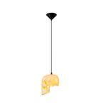 Skull Pendant Light - Image 18