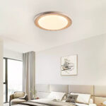Soluna Ceiling Light - Image 4