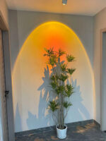 Sunset Adjustable LED Spotlight - Image 11