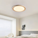 Terralux Ceiling Light - Image 19