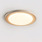 Terralux Ceiling Light - Image 11