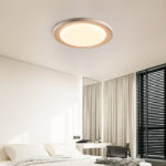 Terralux Ceiling Light - Image 17
