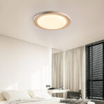 Terralux Ceiling Light - Image 2