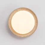 Terralux Ceiling Light - Image 10