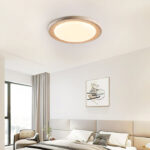 Terralux Ceiling Light - Image 18