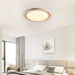 Terralux Ceiling Light - Image 3