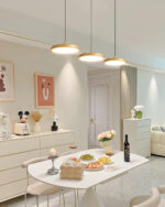 Thin Disc Pendant Lamp - Image 13