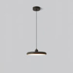 Thin Disc Pendant Lamp - Image 18