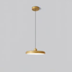 Thin Disc Pendant Lamp - Image 19