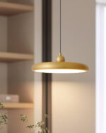 Thin Disc Pendant Lamp - Image 2