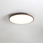 Thin Geometry Shape Ceiling Lamp - Image 18