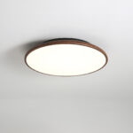 Thin Geometry Shape Ceiling Lamp - Image 14