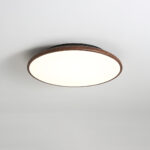 Thin Geometry Shape Ceiling Lamp - Image 19