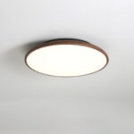 Thin Geometry Shape Ceiling Lamp - Image 8