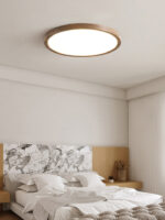 Ultrathin Round Ceiling Light - Image 13