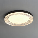 Vanguard Ceiling Light - Image 9