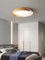 Vikaey Ceiling Light - Image 13