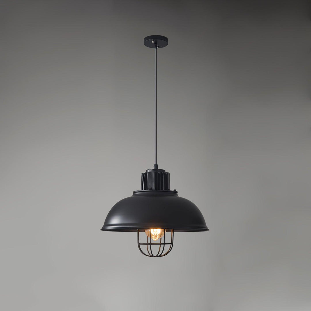 Vintage Industrial Collections Pendant Light - Image 11