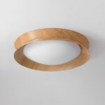 Double Half Round Ceiling Light - Image 17