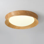 Double Half Round Ceiling Light - Image 18