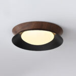 Double Half Round Ceiling Light - Image 20