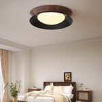Double Half Round Ceiling Light - Image 4