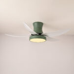 Zephyr Noir Ceiling Fan Light - Image 6