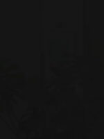 Chiswick Glass Wall Light - Image 17