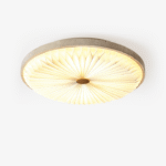Heliora Ceiling Light - Image 18