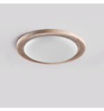 Terralux Ceiling Light - Image 20