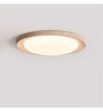 Terralux Ceiling Light - Image 6
