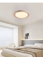 Terralux Ceiling Light - Image 8